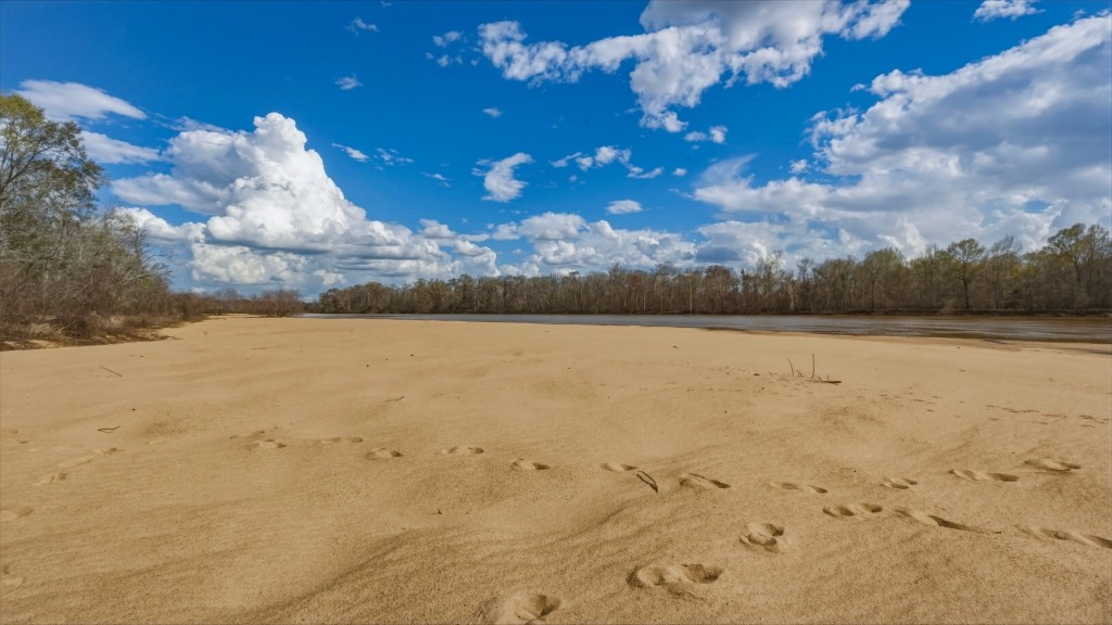 Twin Rivers Plantation Photo