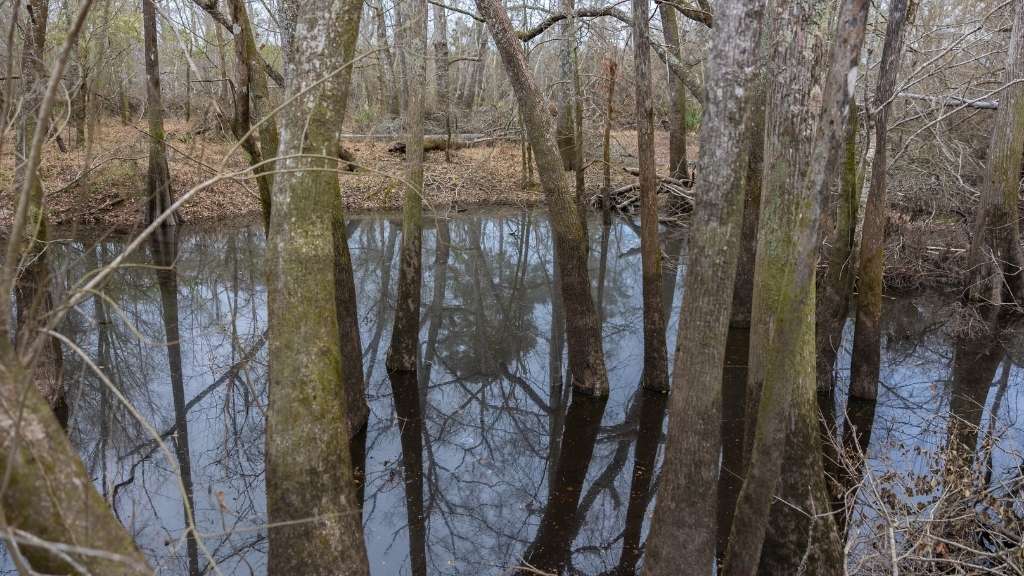 5230 Coleman Bridge Spur Photo