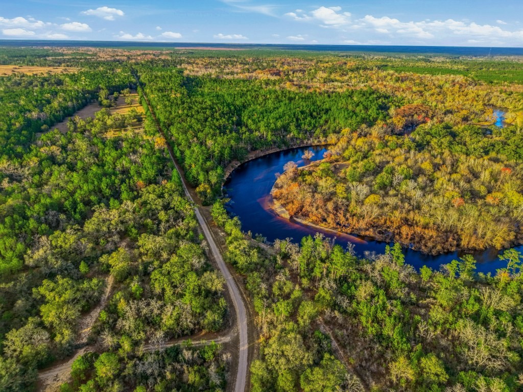 Twin Rivers Plantation Photo