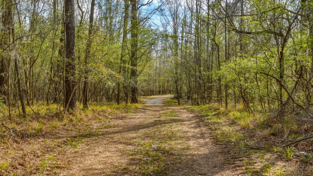 Twin Rivers Plantation Photo
