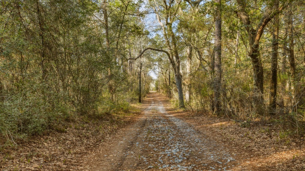 Twin Rivers Plantation Photo
