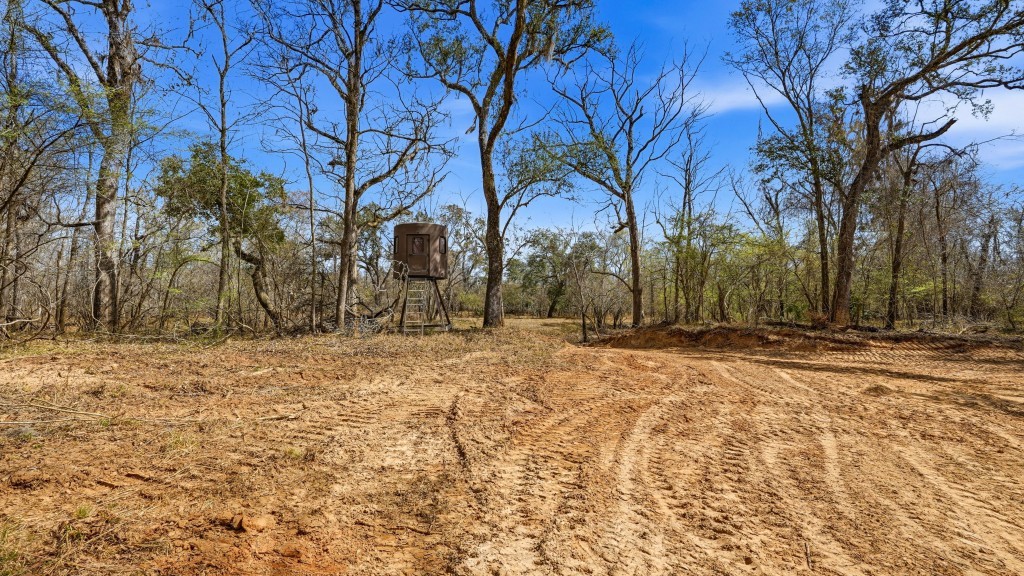 Twin Rivers Plantation Photo