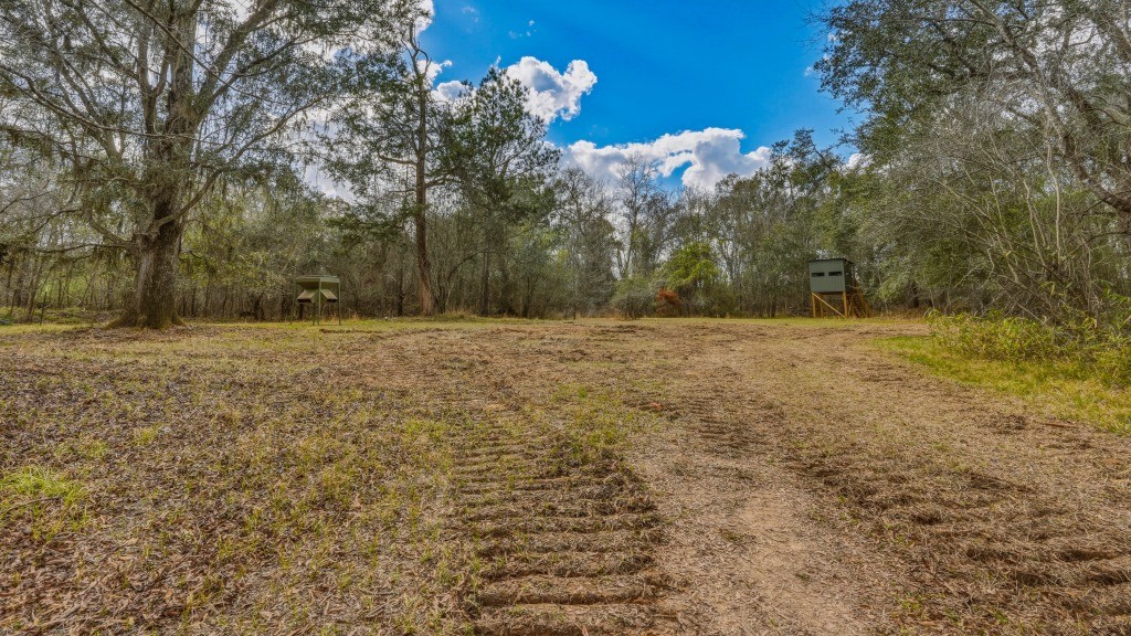 Twin Rivers Plantation Photo