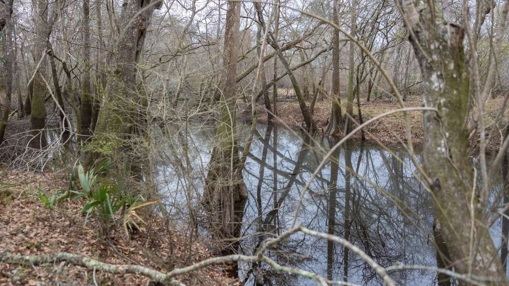 5230 Coleman Bridge Spur Photo