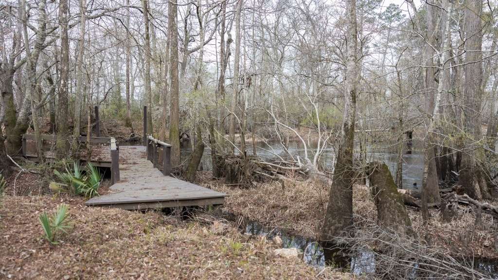 4980 Coleman Bridge Spur Photo