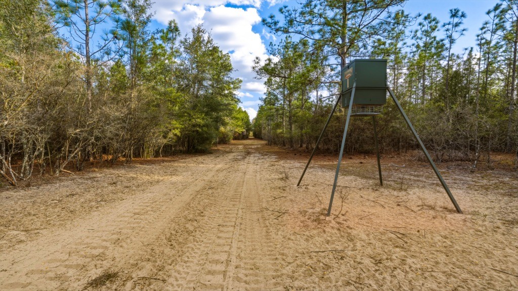 Twin Rivers Plantation Photo