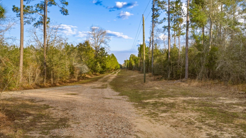 Twin Rivers Plantation Photo