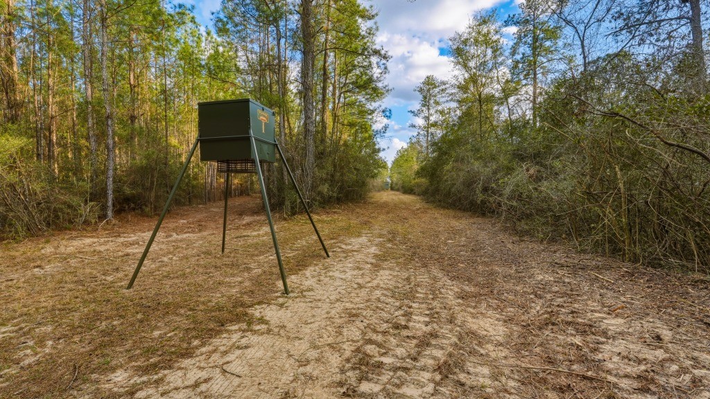 Twin Rivers Plantation Photo