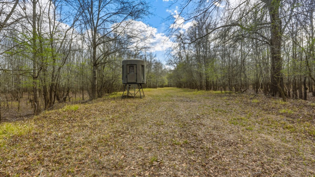 Twin Rivers Plantation Photo