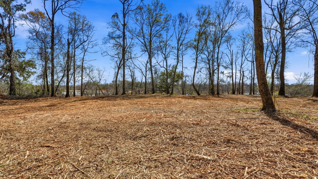 Twin Rivers Plantation Photo