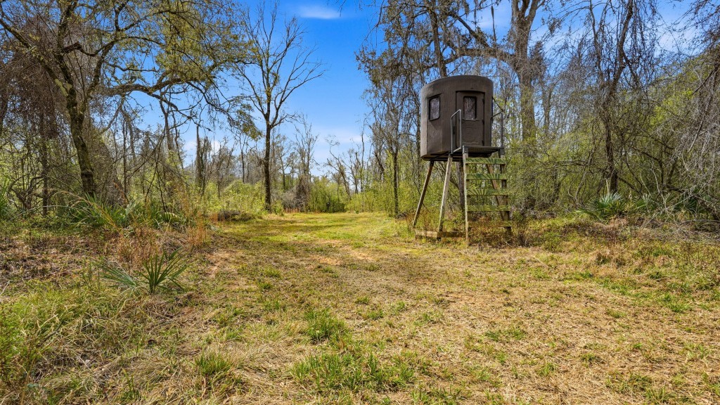 Twin Rivers Plantation Photo
