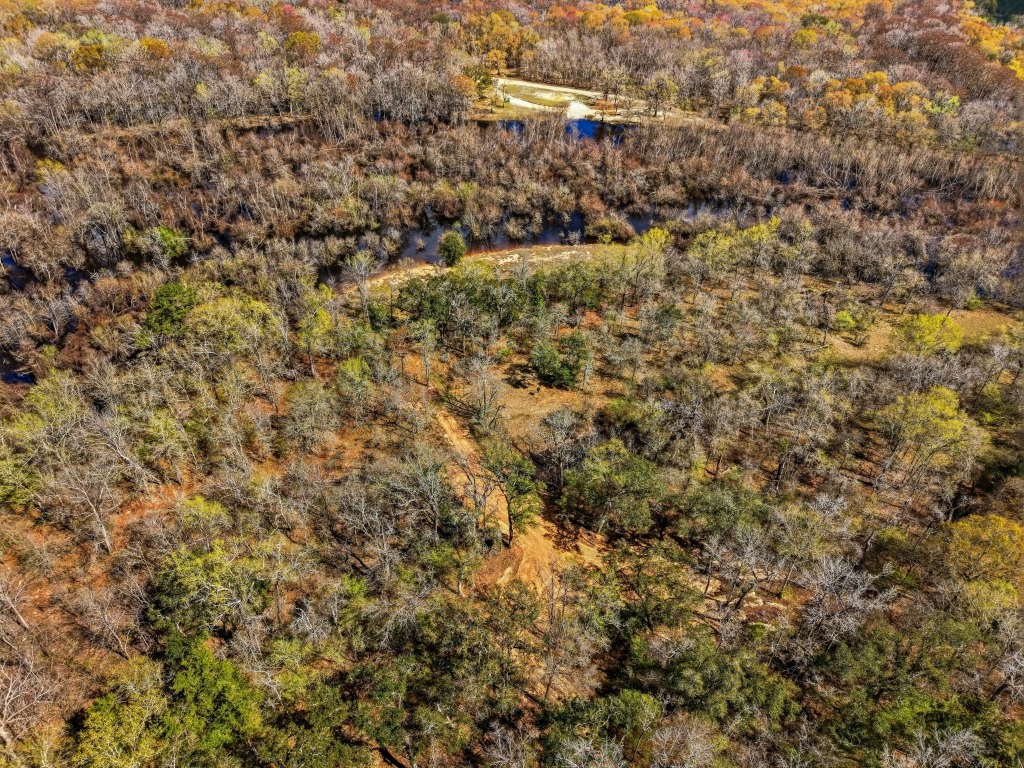 Twin Rivers Plantation Photo