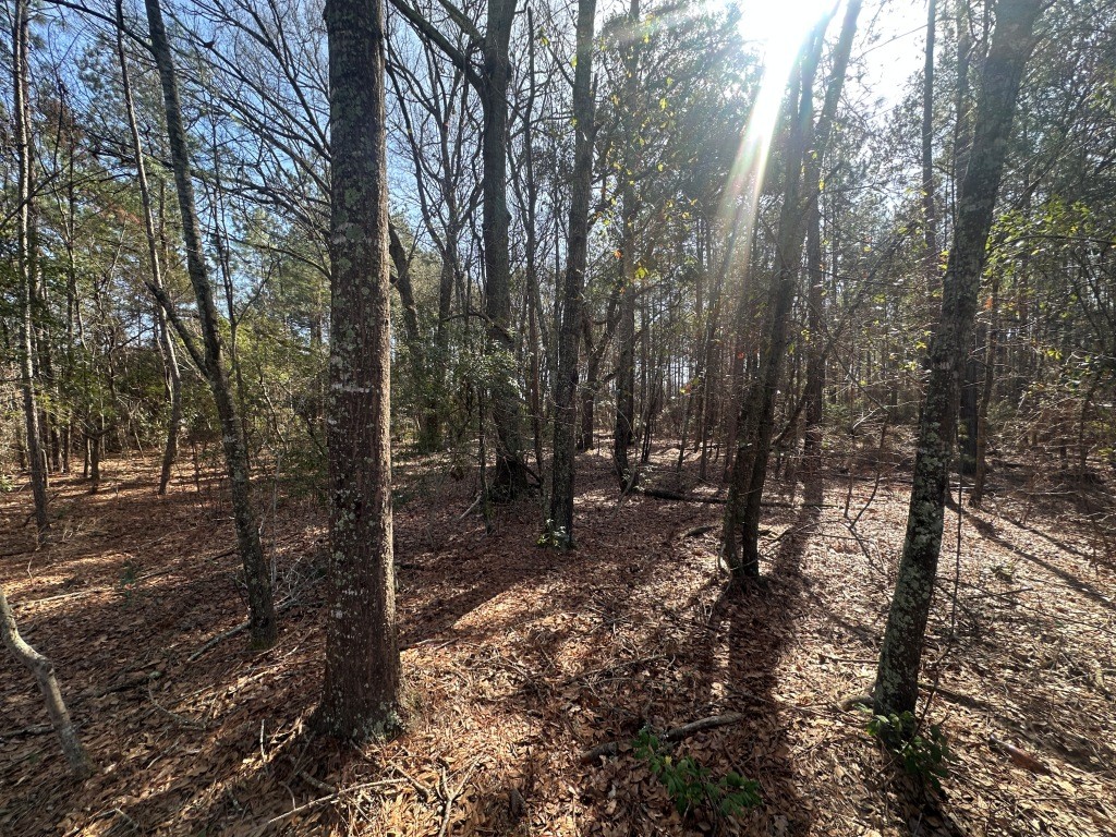 Old Dixie Highway Photo