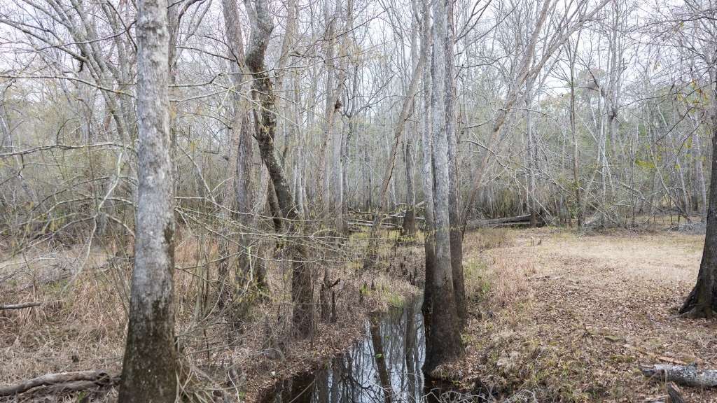 4980 Coleman Bridge Spur Photo