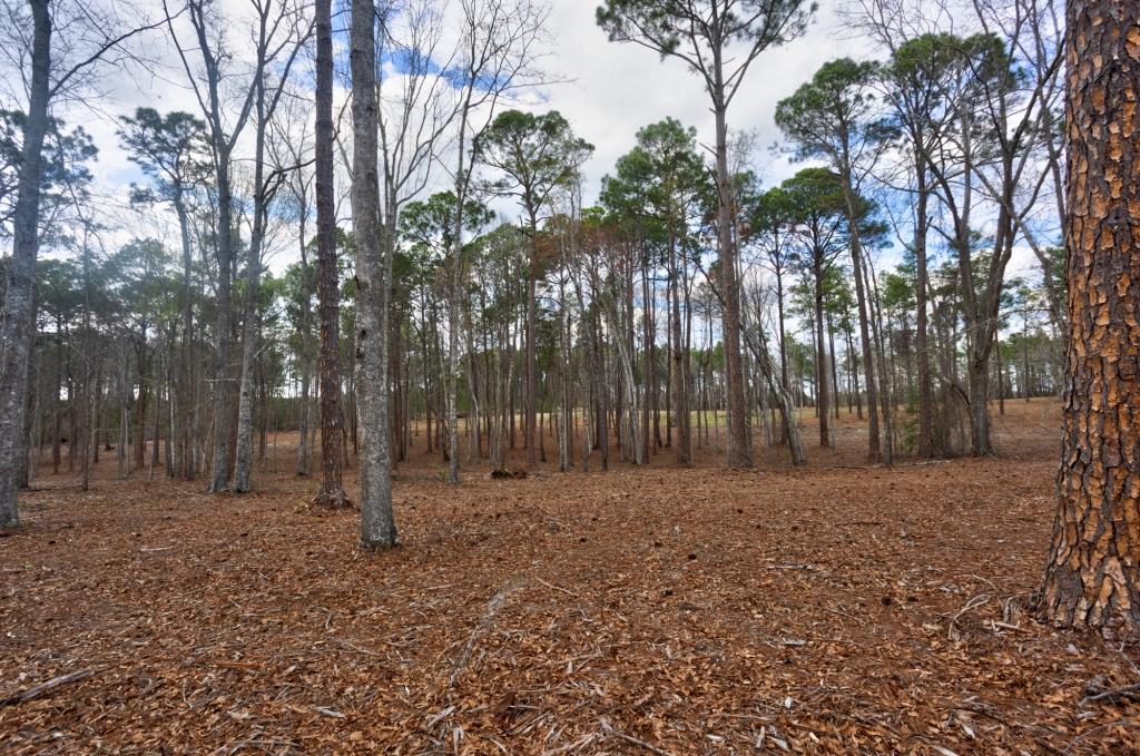 Cowart Pond Retreat Photo