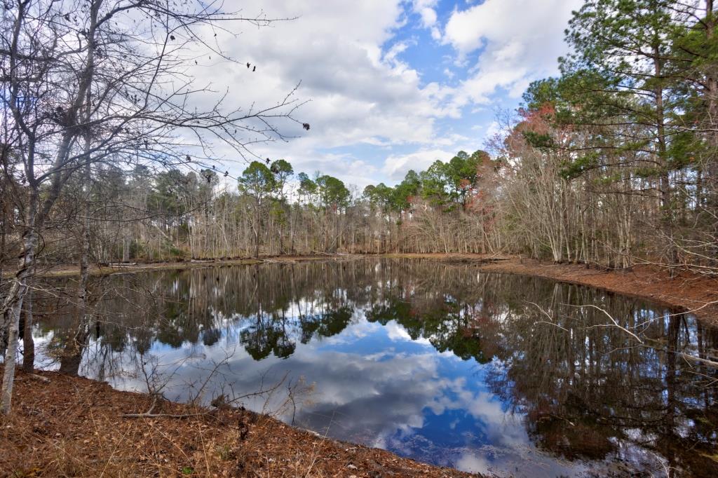 Cowart Pond Retreat Photo