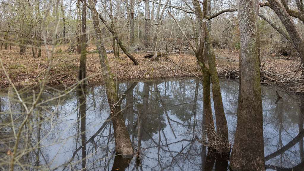 5230 Coleman Bridge Spur Main Photo