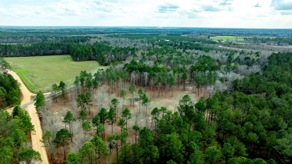 Cowart Pond Retreat Photo