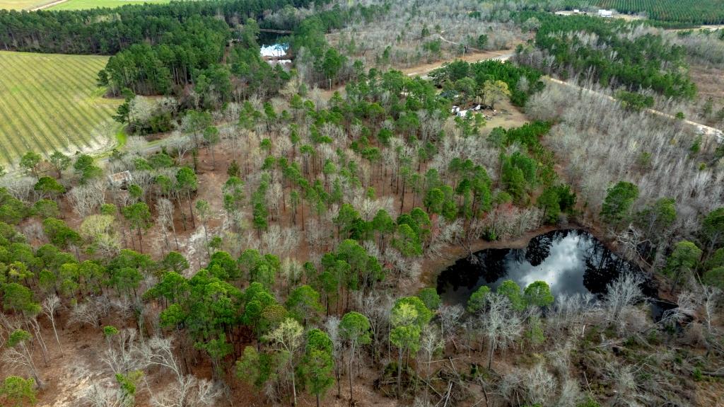 Cowart Pond Retreat Photo