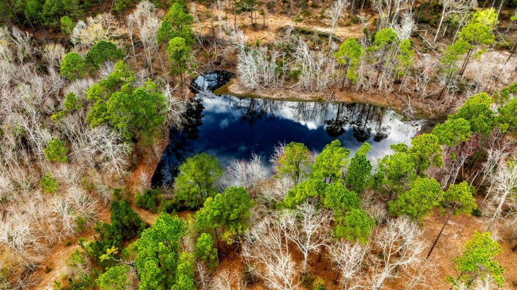 Cowart Pond Retreat Photo