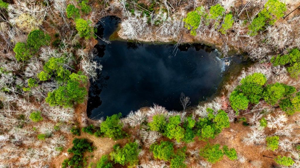 Cowart Pond Retreat Photo