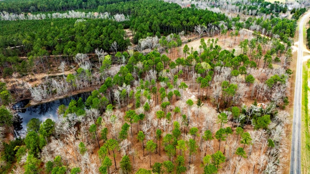 Cowart Pond Retreat Photo