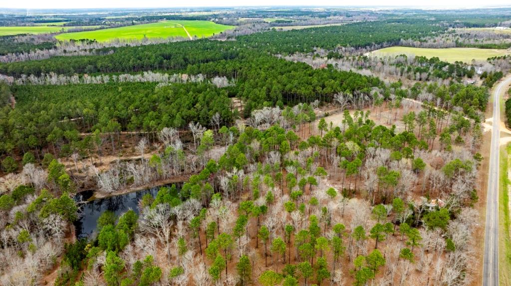 Cowart Pond Retreat Photo