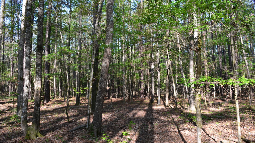 Bluewater Retreat Photo