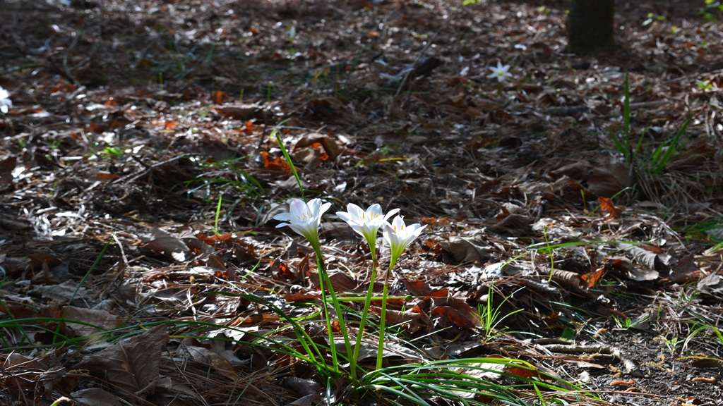 Bluewater Retreat Photo