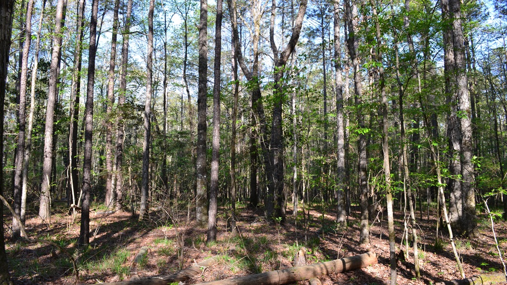 Bluewater Retreat Photo