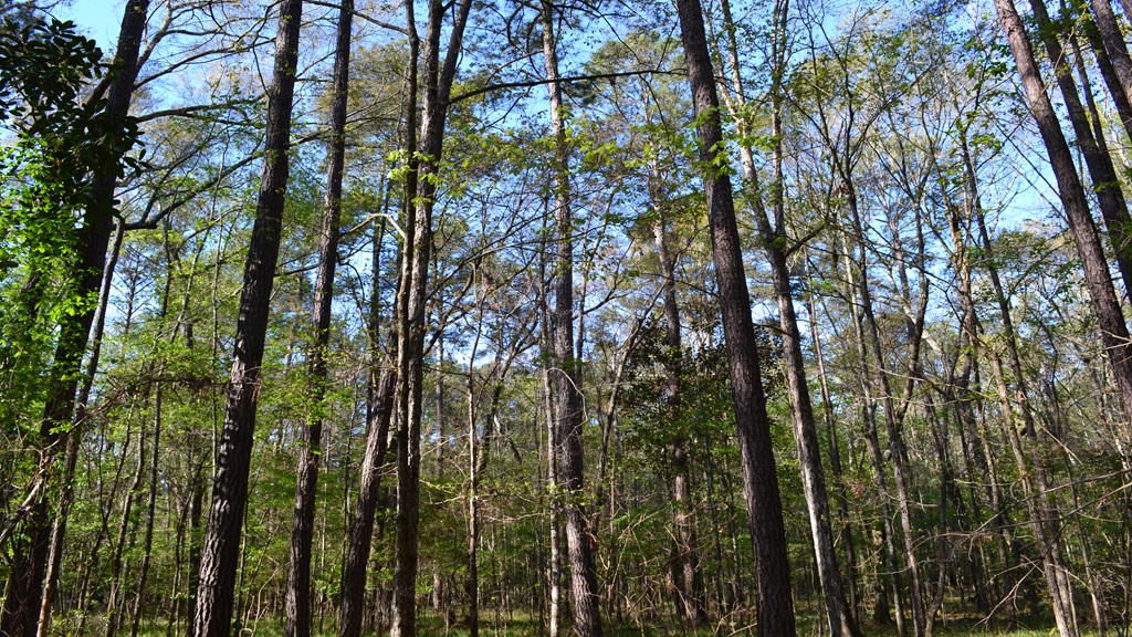 Bluewater Retreat Photo