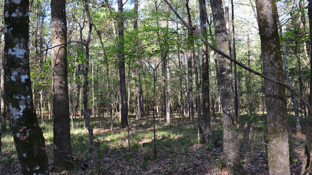 Bluewater Retreat Photo