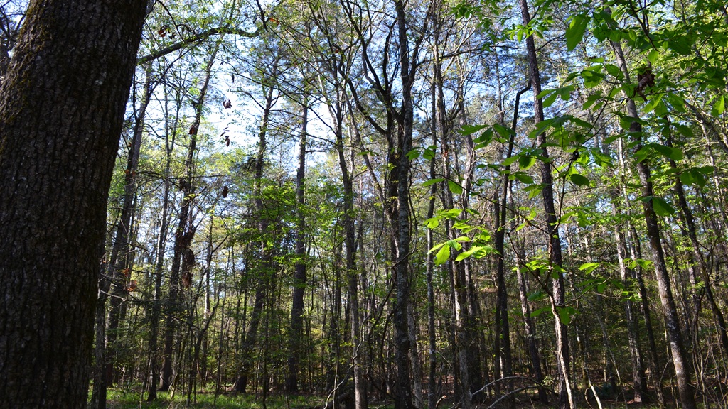 Bluewater Retreat Photo