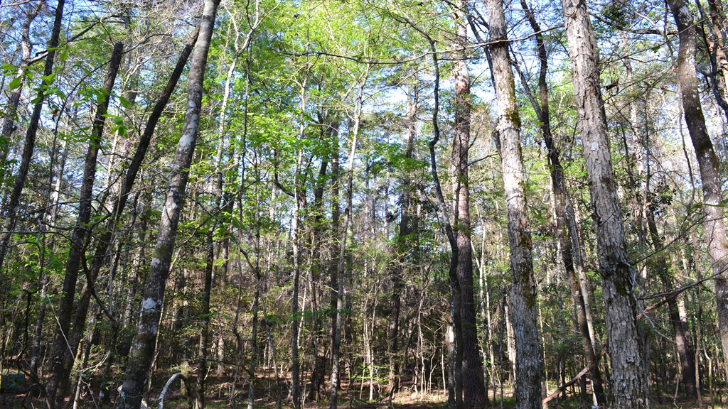 Bluewater Retreat Photo