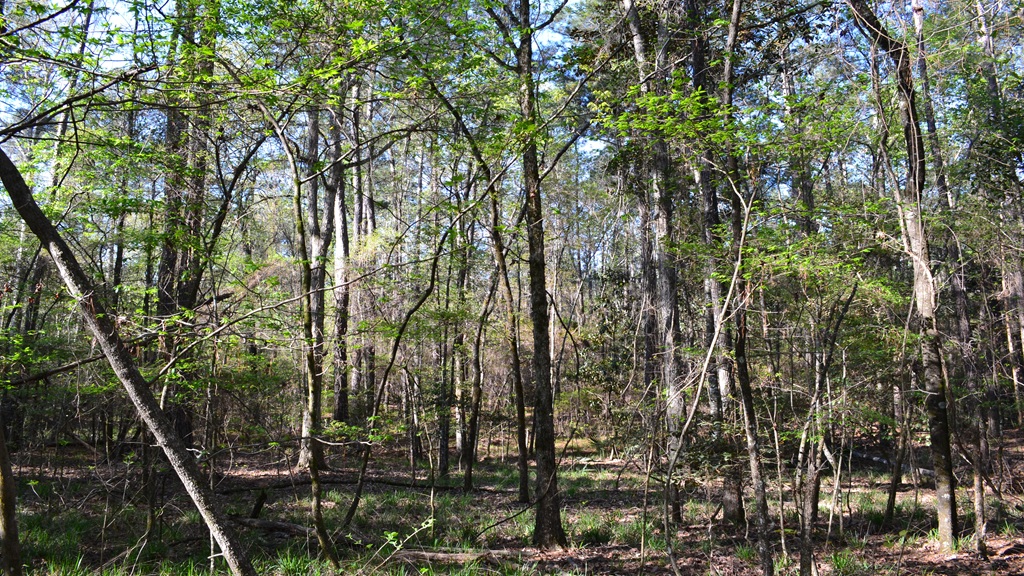 Bluewater Retreat Photo