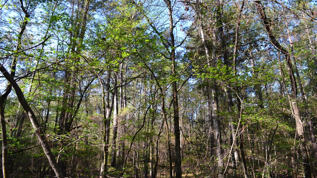 Bluewater Retreat Photo