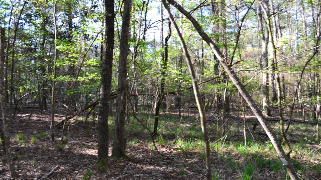 Bluewater Retreat Photo