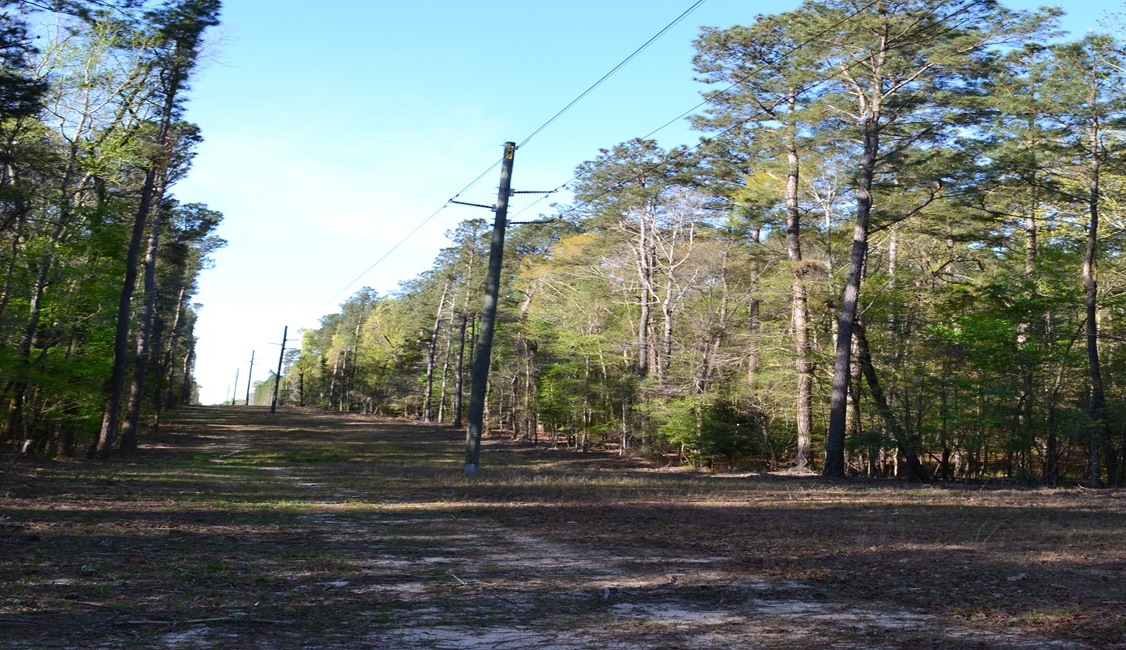 Bluewater Retreat Photo