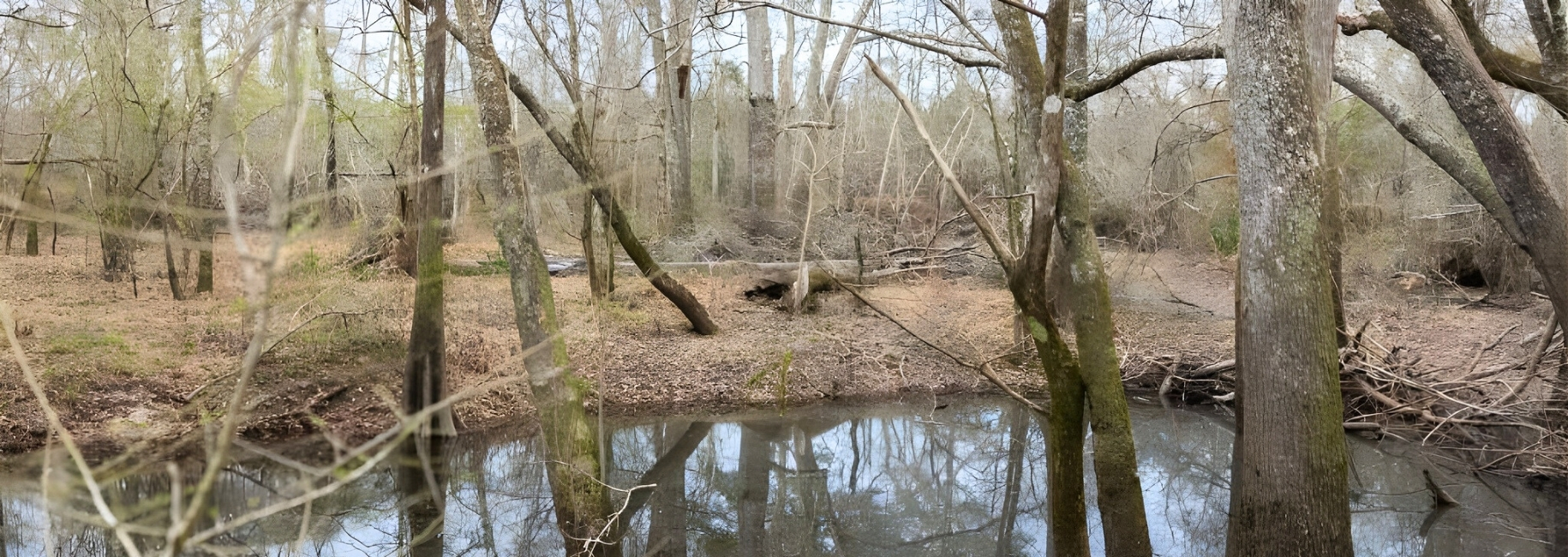 5230 Coleman Bridge Spur Main Photo