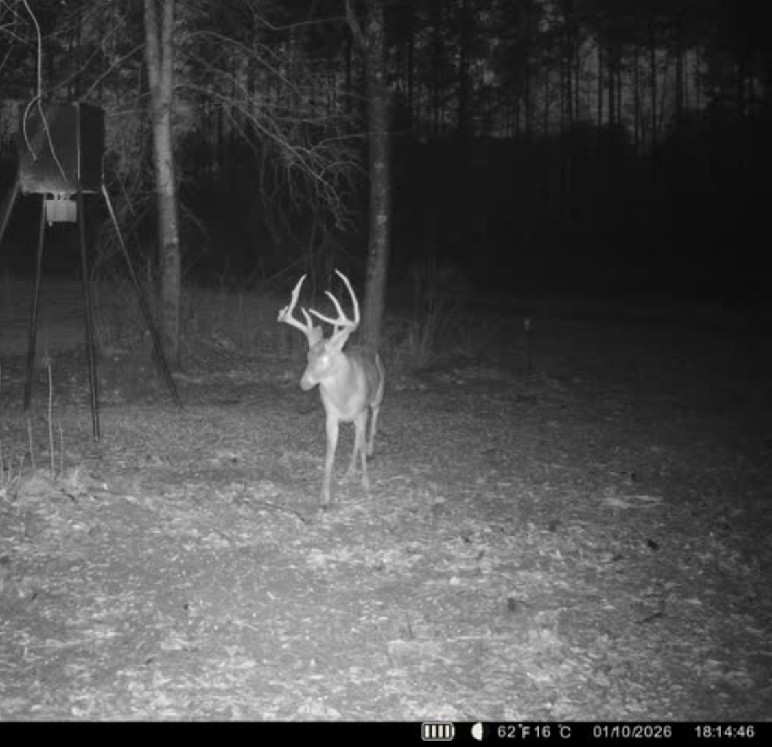 Twin Rivers Plantation Photo