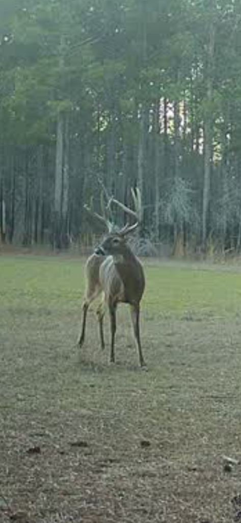 Twin Rivers Plantation Photo