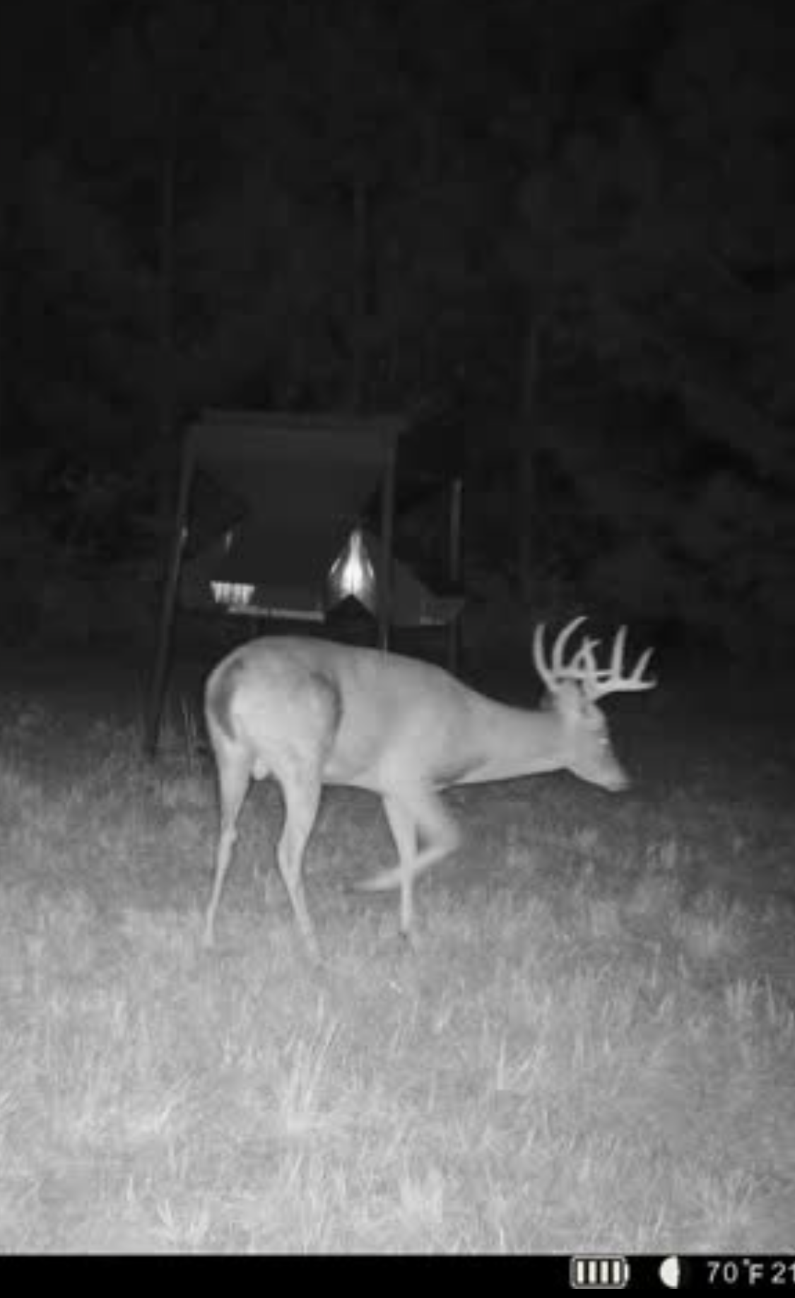 Twin Rivers Plantation Photo