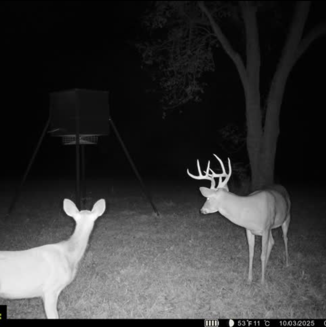 Twin Rivers Plantation Photo