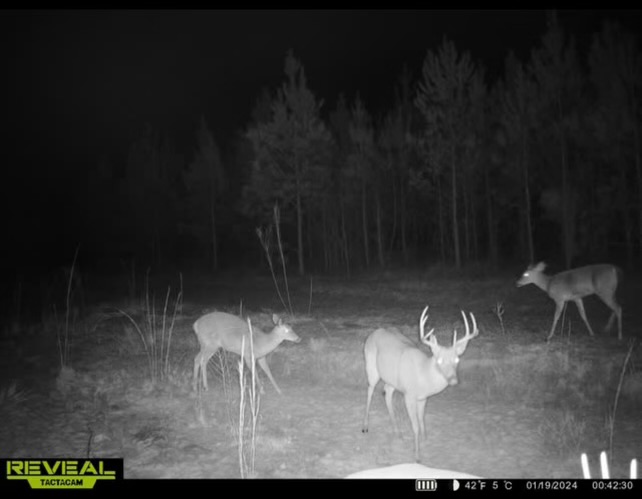 Twin Rivers Plantation Photo