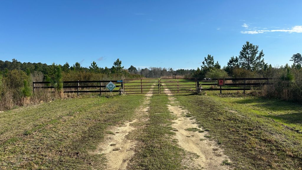 Shady Lane Plantation Photo
