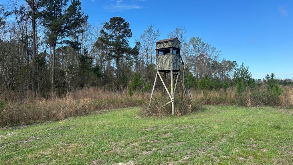 Shady Lane Plantation Photo