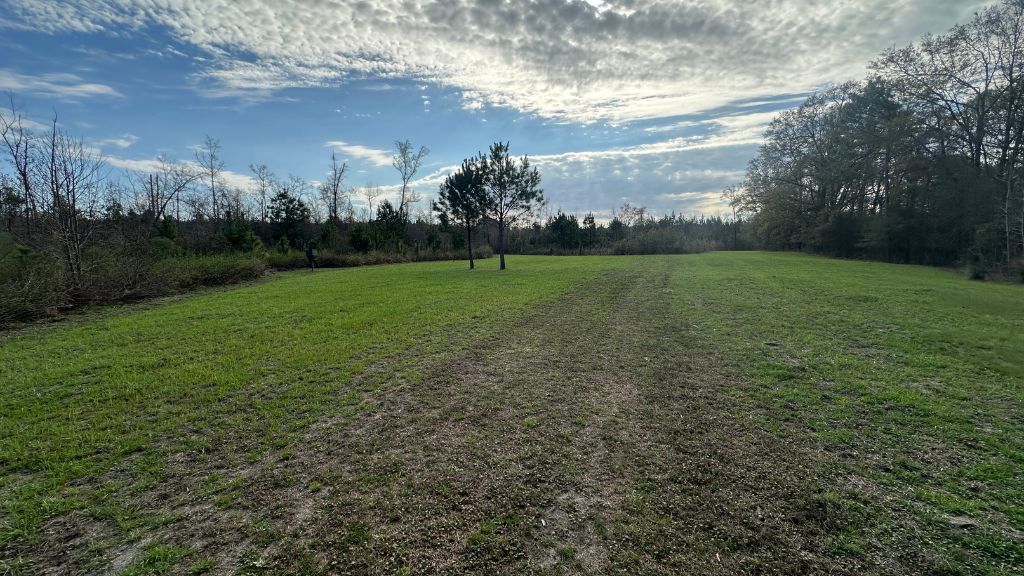 Shady Lane Plantation Photo