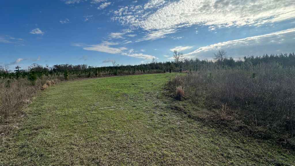 Shady Lane Plantation Photo