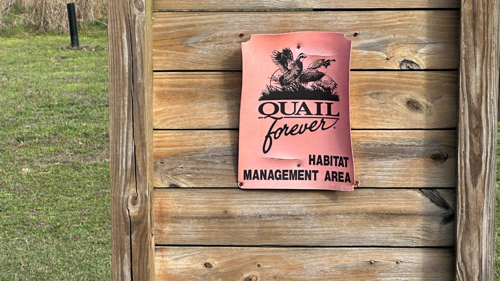 Shady Lane Plantation Photo