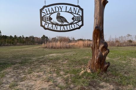 Shady Lane Plantation